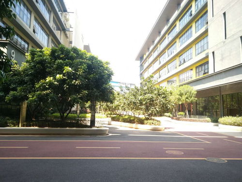 龙华区科技园优质厂房招租 1楼2楼各1500平米，适配生产与仓储需求