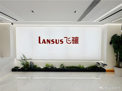 飞骧科技IPO挑战 前五月营收净利下滑，高负债率引关注